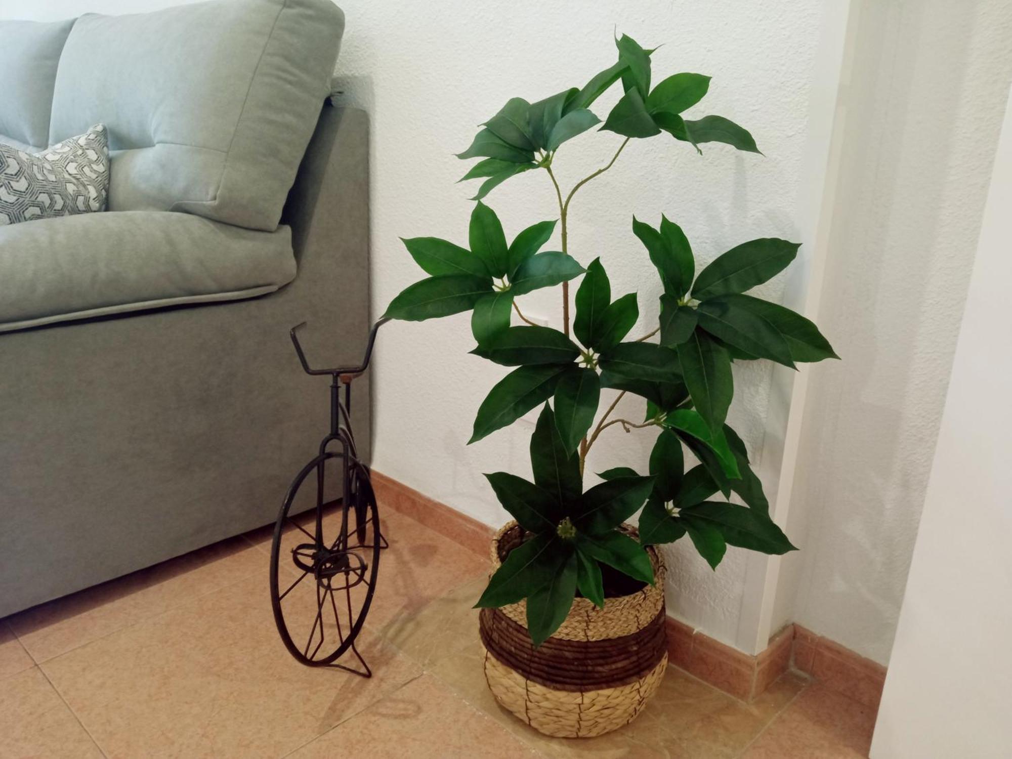 Apartamento Los Jardines De La Magdalena Cordoba Exterior photo